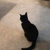 mrpishy123